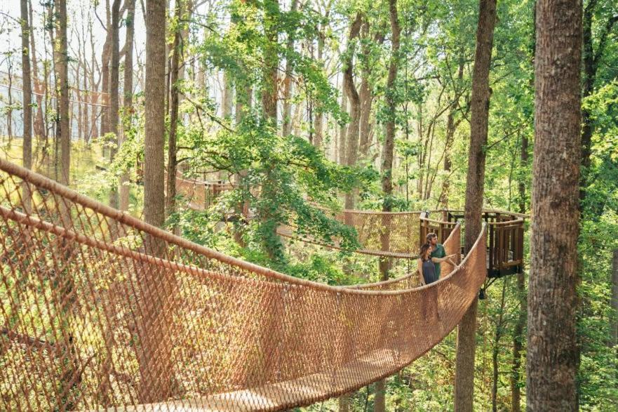 Romantic A-Frame Private Hottub Firepit Neargsmnp Sevierville Zewnętrze zdjęcie